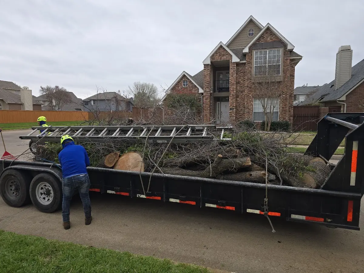 Expert Tree Fertilization with proper safety equipment in Fayetteville